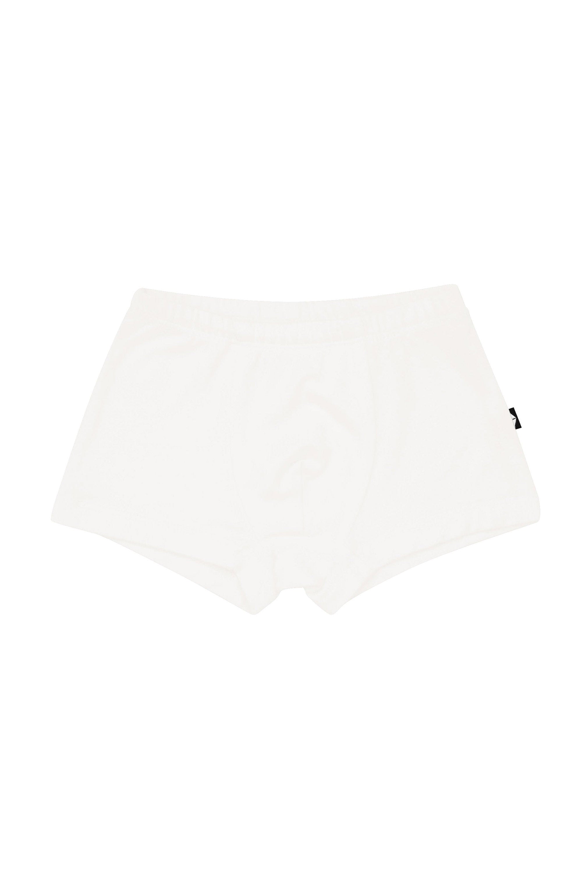 Briefs in Cloud