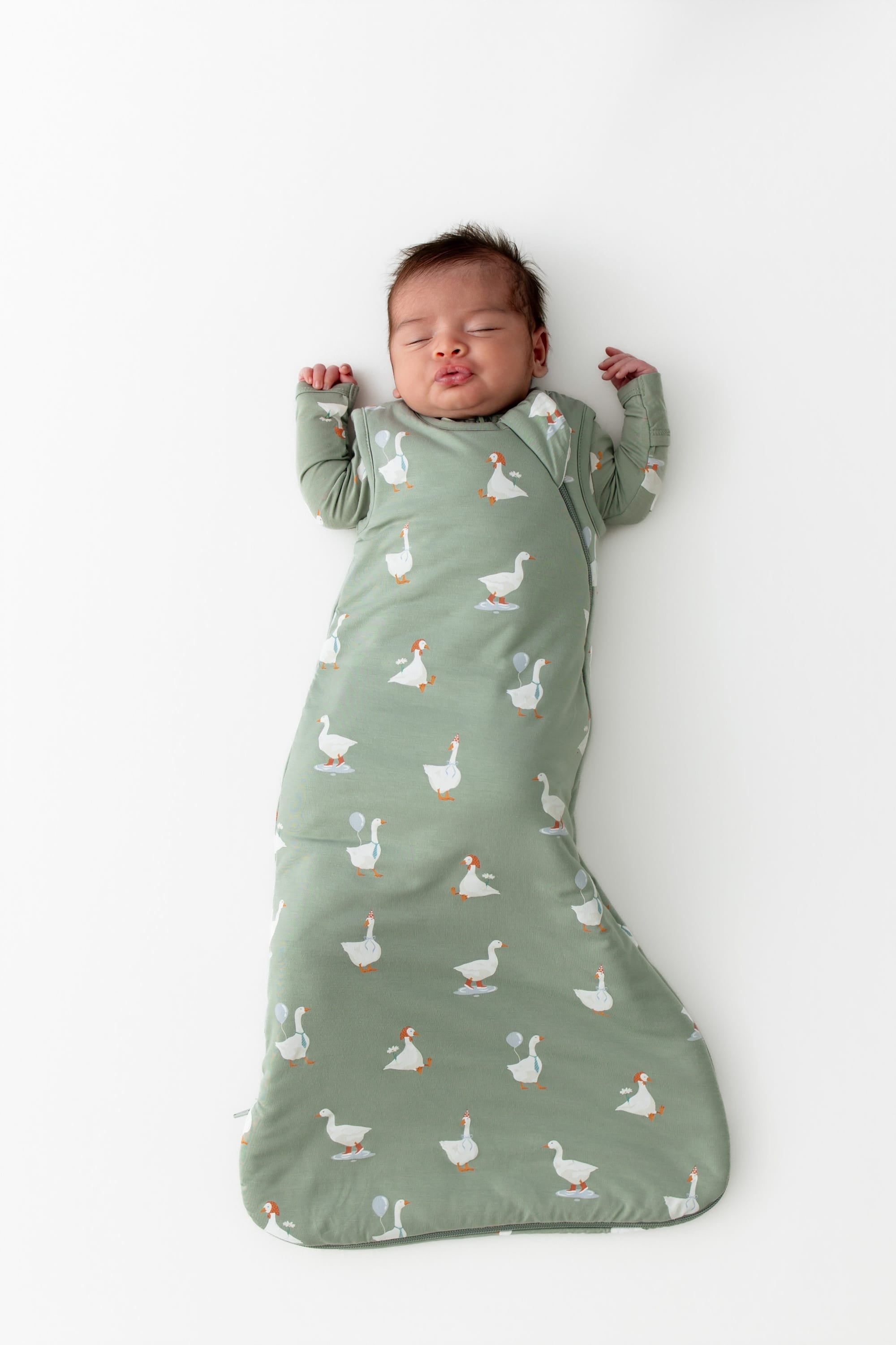 Sleep Bag in Silly Goose 1.0