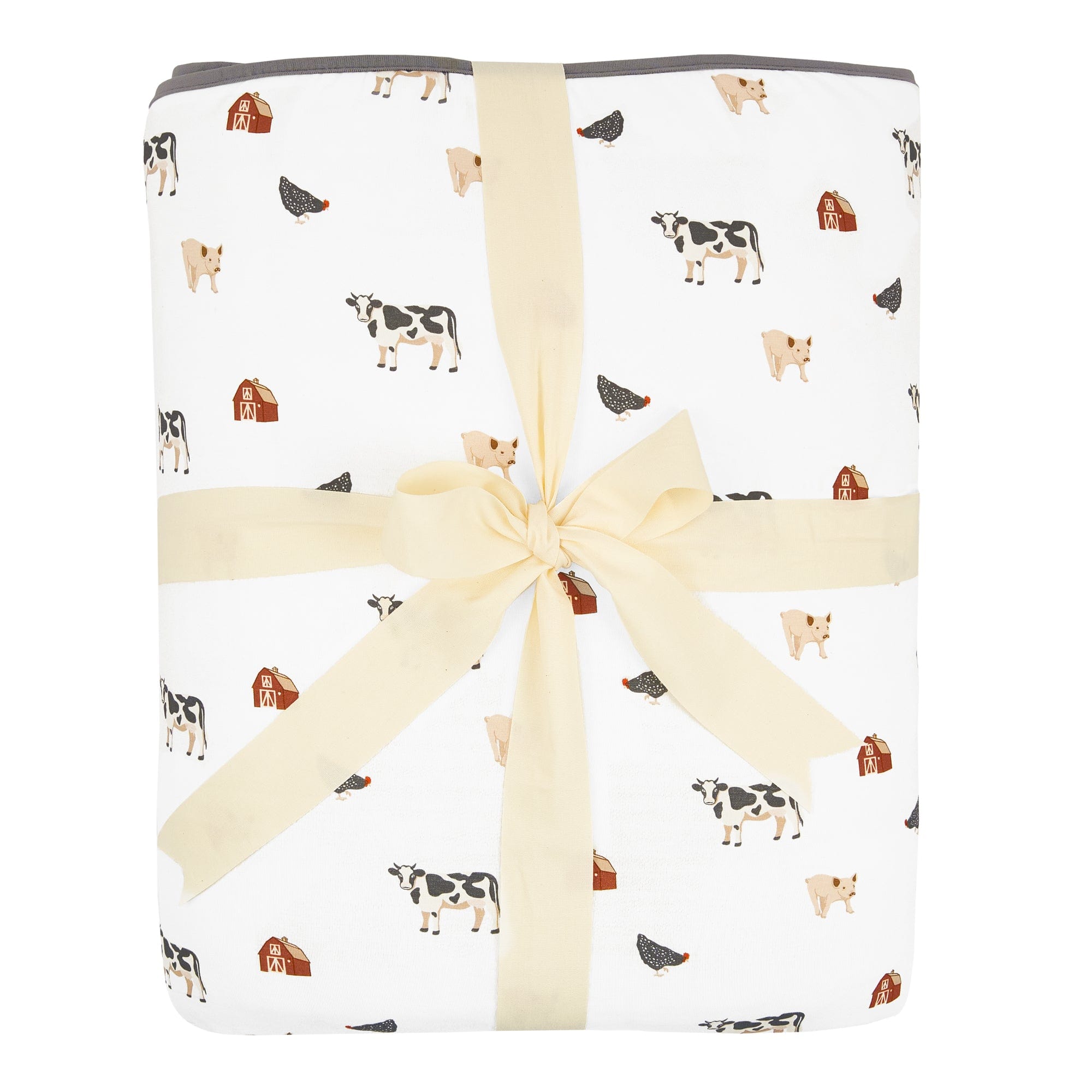 Youth Blanket in Farm 2.5